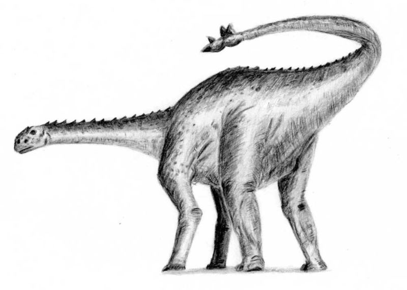 Shunosaurus, Foto: worldsofimagination.co.uk