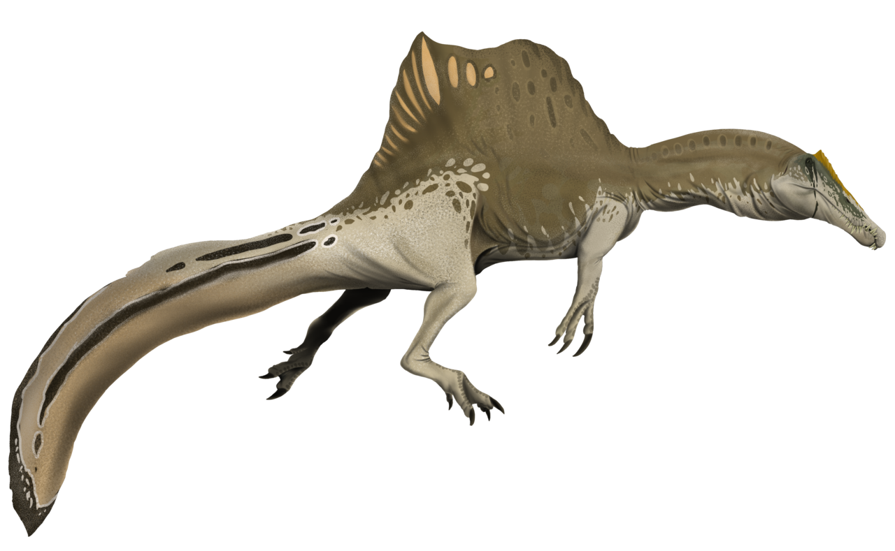 Spinosaurus