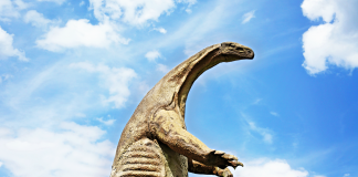 Top 10 cei mai ciudați dinozauri care au trăit vreodată pe Terra