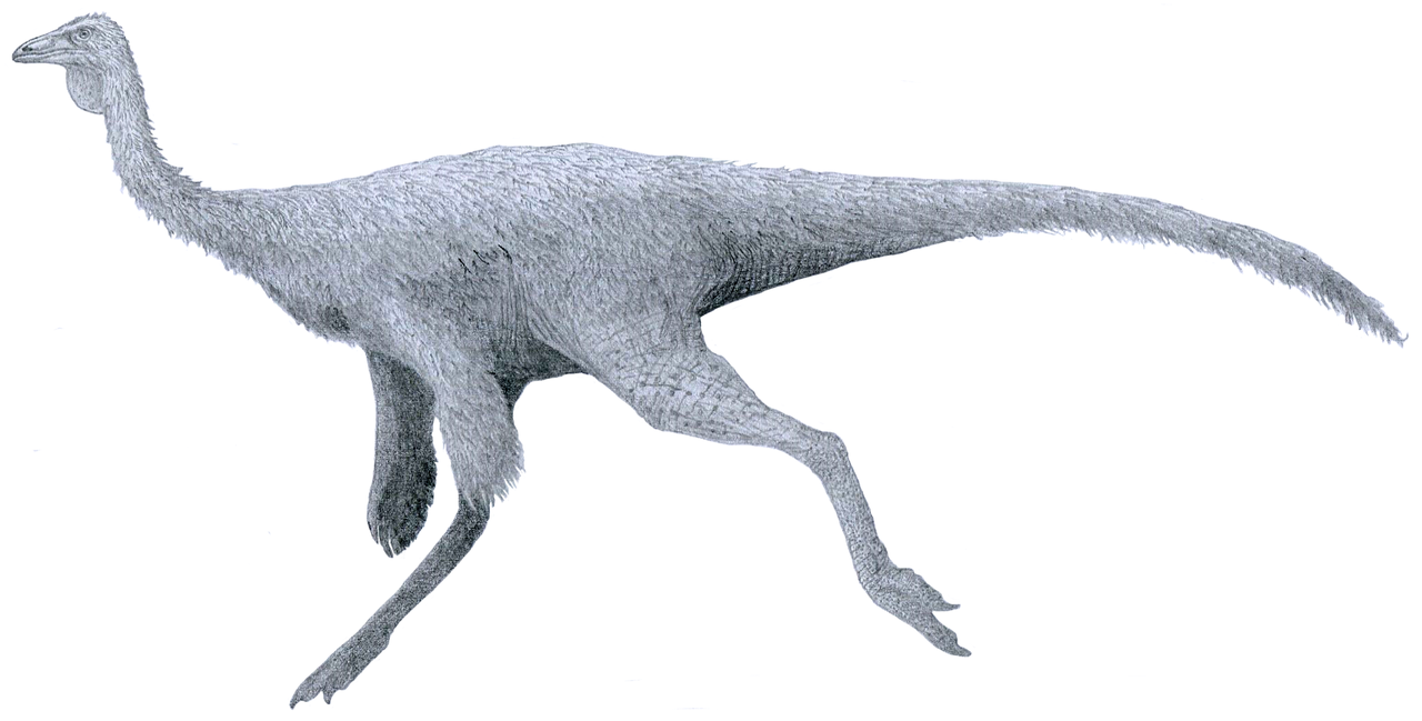Top 10 cei mai drăguți dinozauri, vezi cum arată