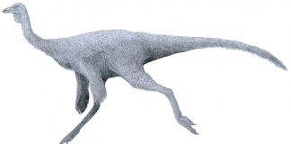 Top 10 cei mai drăguți dinozauri, vezi cum arată