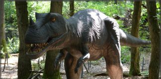Top 10 cei mai puternici dinozauri, vezi care sunt
