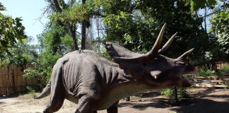 Top 10 cei mai urăți dinozauri din era Mezozoică