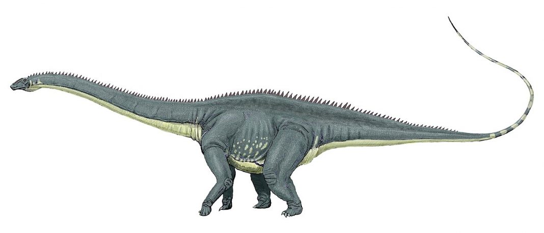 Top 10 dinozauri erbivori care au trăit în era Mezozoică