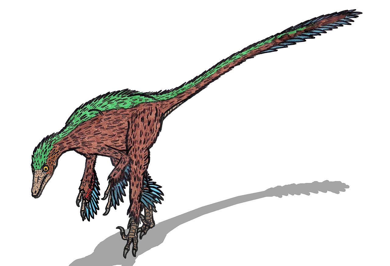 Troodon