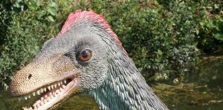 Troodon, unul dintre cei mai inteligenti dinozauri