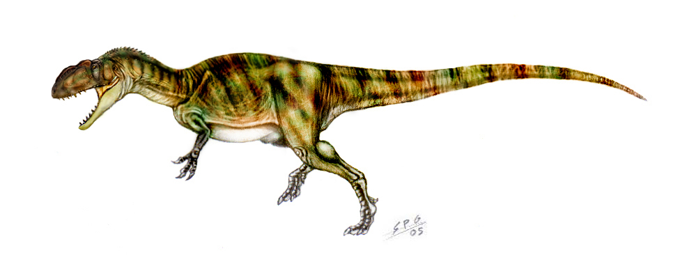 Yangchuanosaurus, Foto: rareresource.com