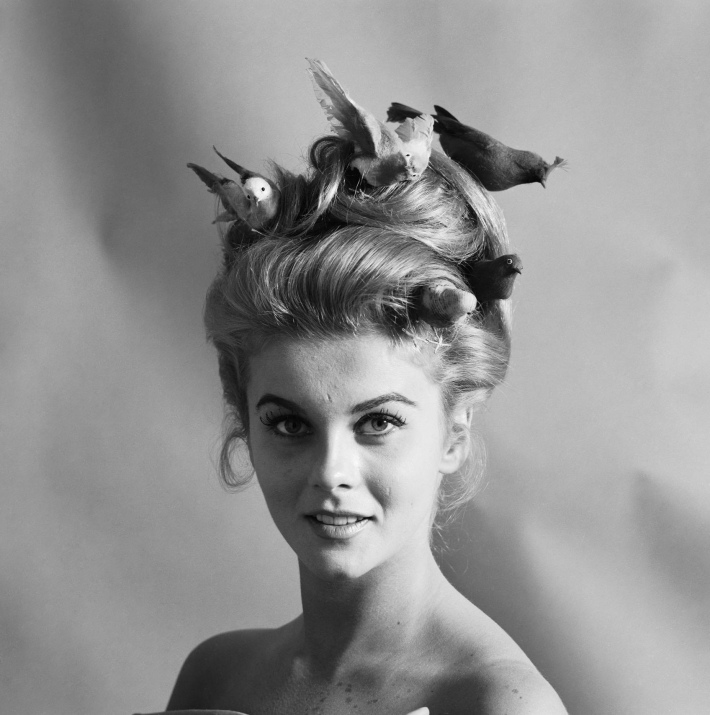 Ann Margret, Foto: vitaphonedreamer.wordpress.com