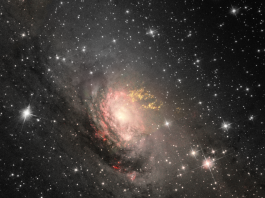 Galaxia Circinus