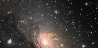 Galaxia Circinus