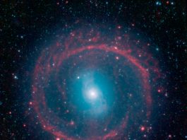 Galaxia Roata de Caruta
