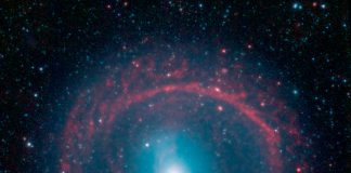 Galaxia Roata de Caruta