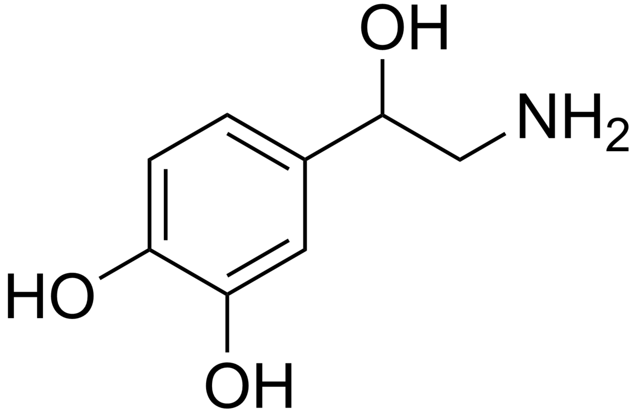 NOREPINEFRINA