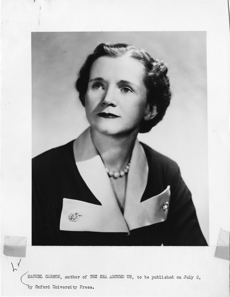 Rachel Carson11
