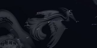 Constelatia Phoenix