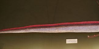 Peștele șarpele de mare (Regalecus glesne), un pește abisal