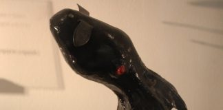 Sepia-vampir (Vampyroteuthis infernalis), specie de cefalopodă cu sânge albastru