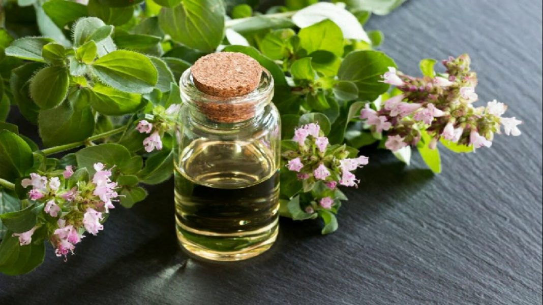 Uleiul de oregano