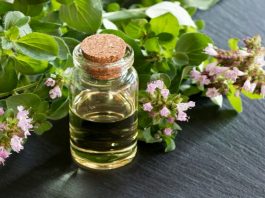 Uleiul de oregano