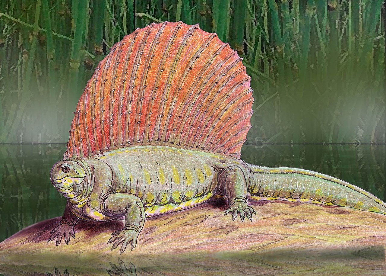 Edaphosaurus