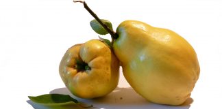 Gutuia