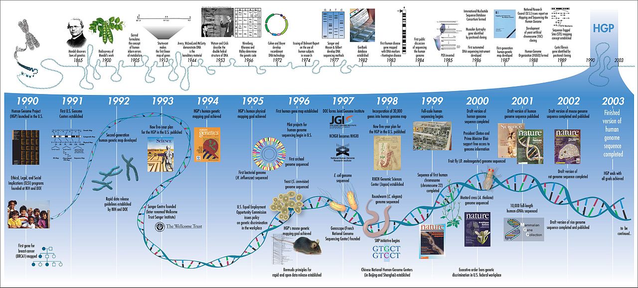 Human Genome evolutie