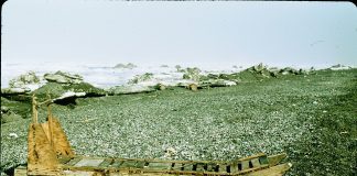 Saniile eschimosilor