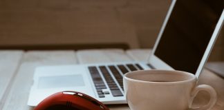 mouse-ul pentru computer