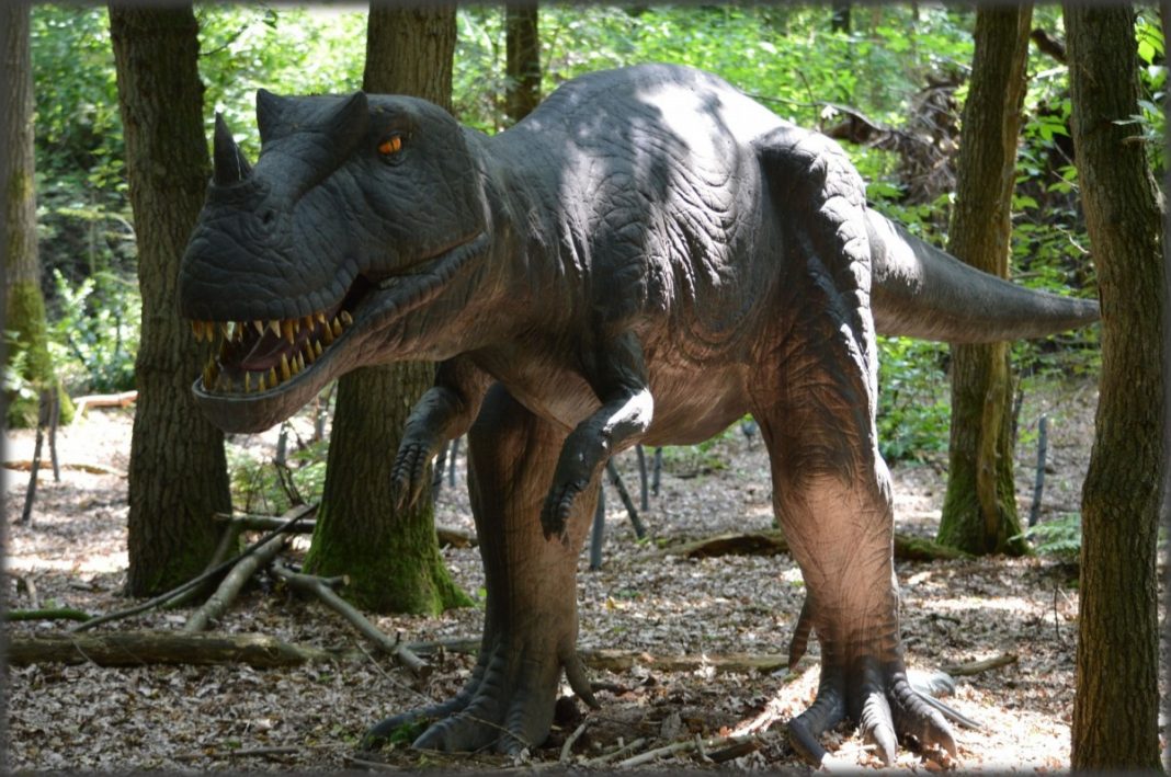 Biblia și dinozaurii, află mai multe despre acest subiect Biblia și dinozaurii, află mai multe despre acest subiect