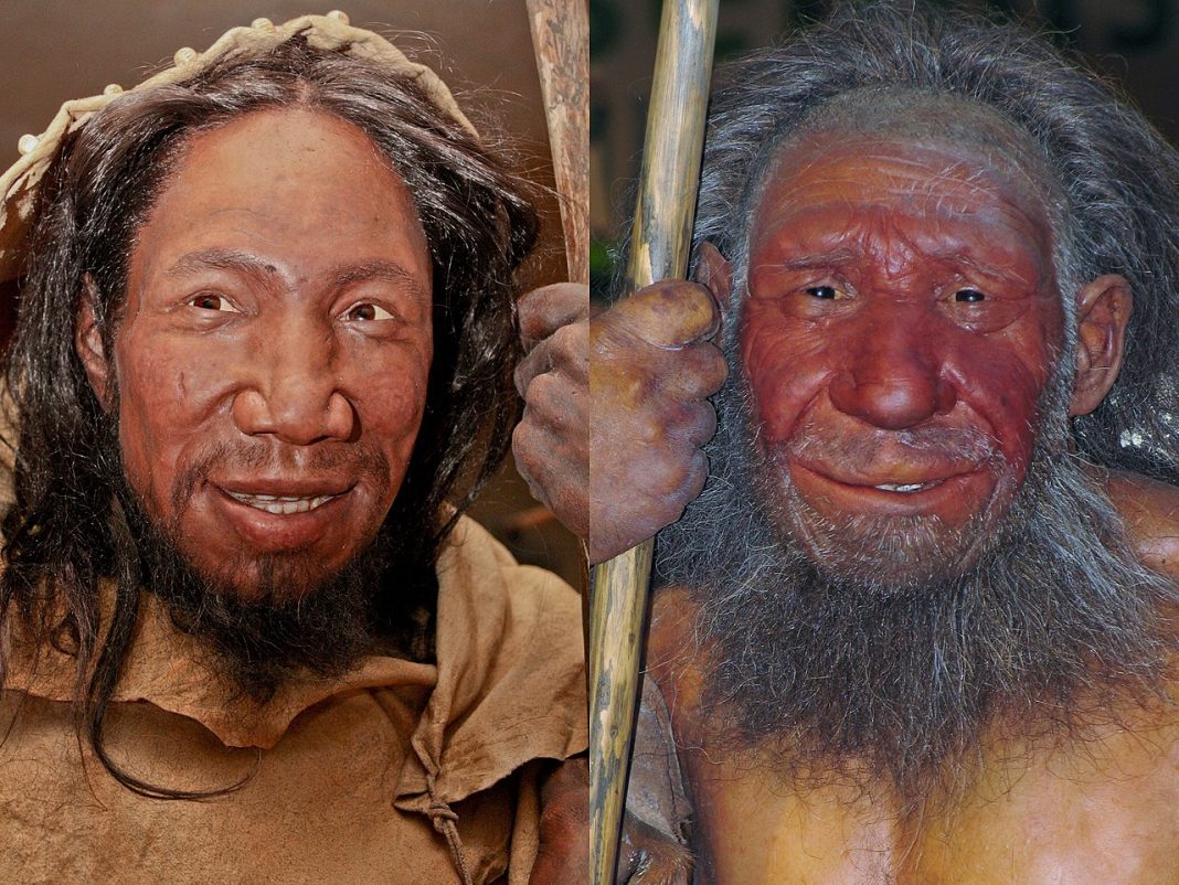 Omul din Neanderthal