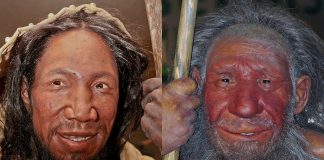 Omul din Neanderthal