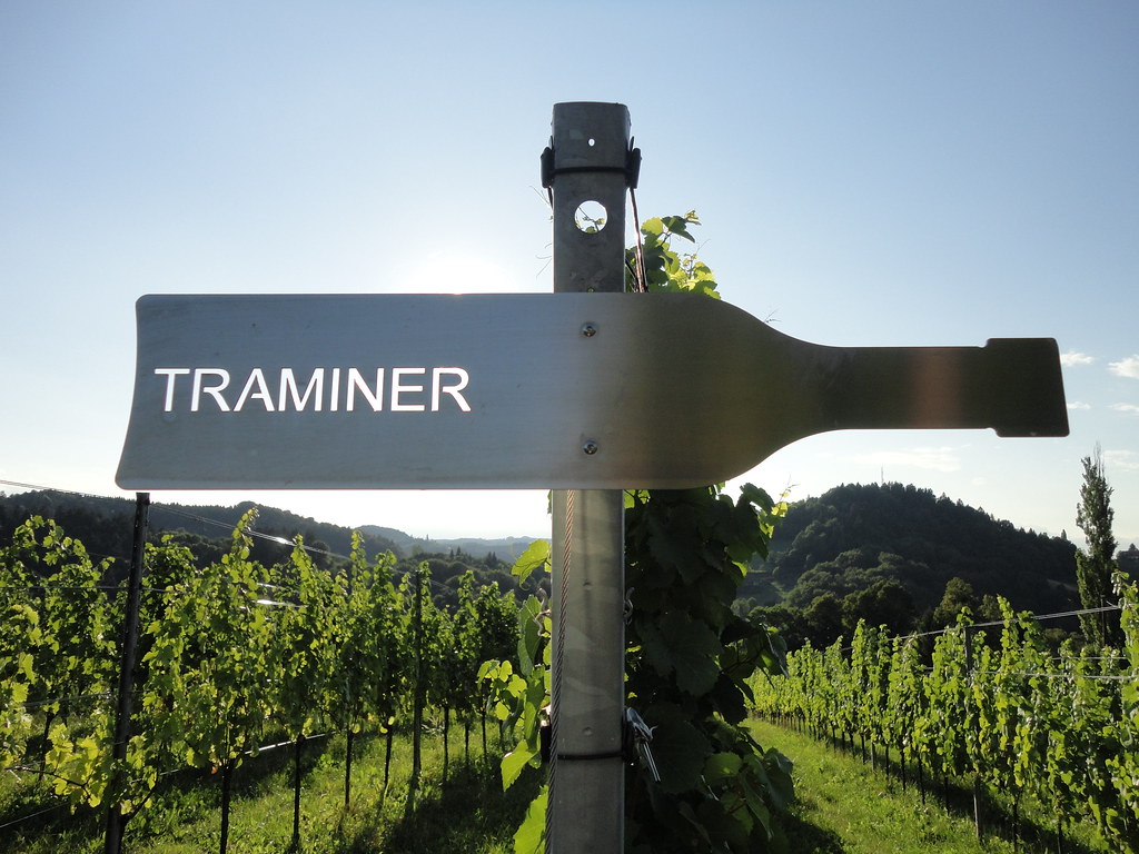 Traminer1