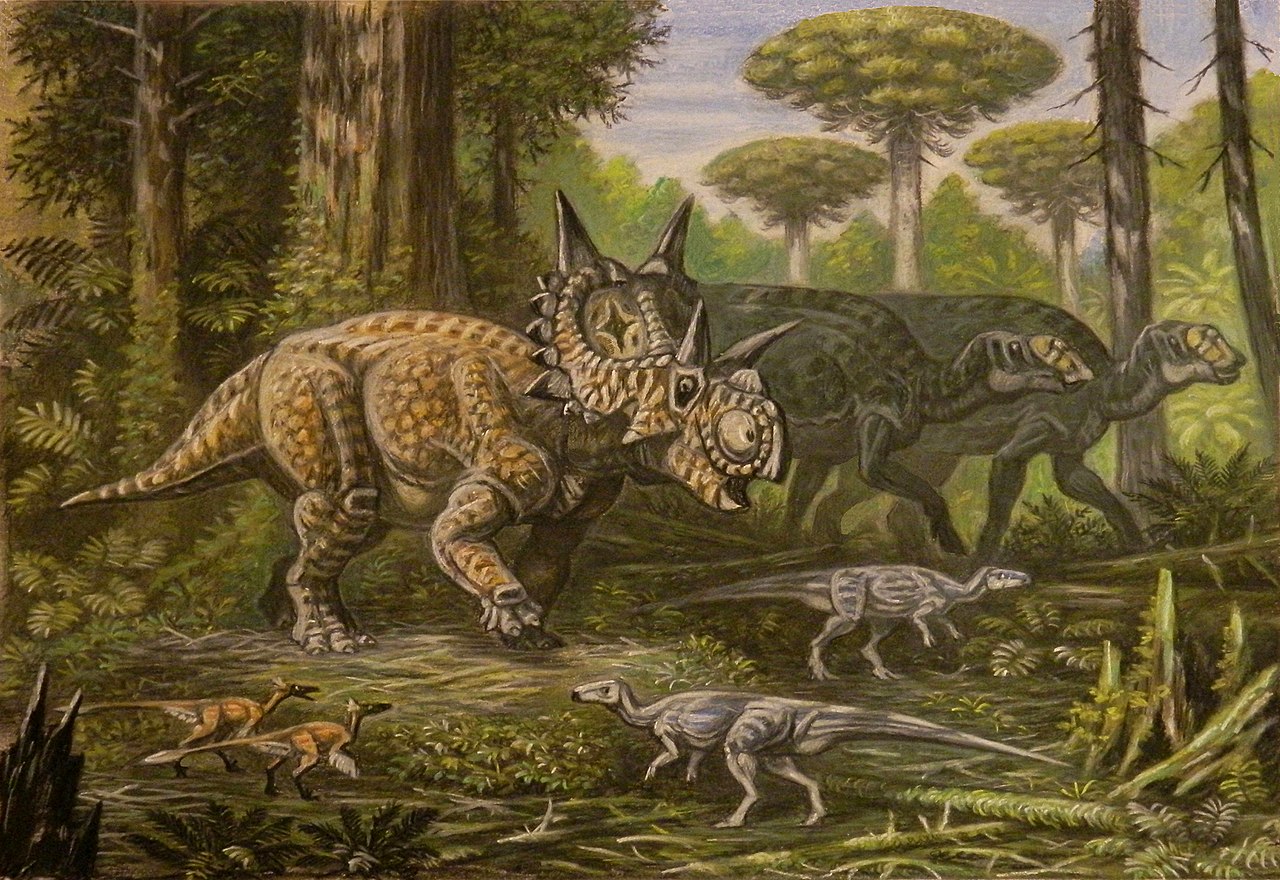 Dinozaurul Xenoceratops foremostensis avea capul imens