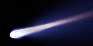 Viata cometelor
