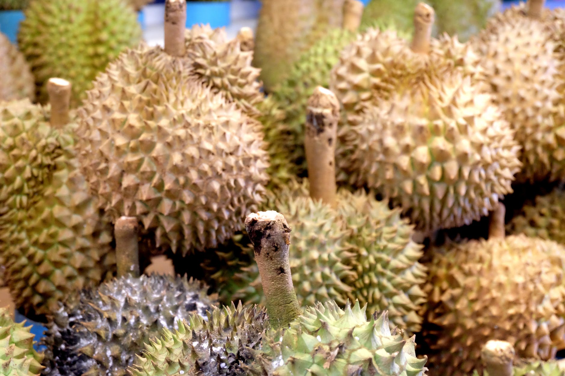 Durian