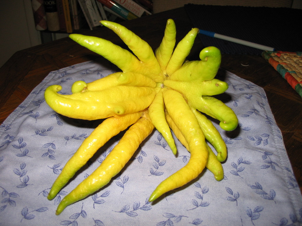 Fingered Citron