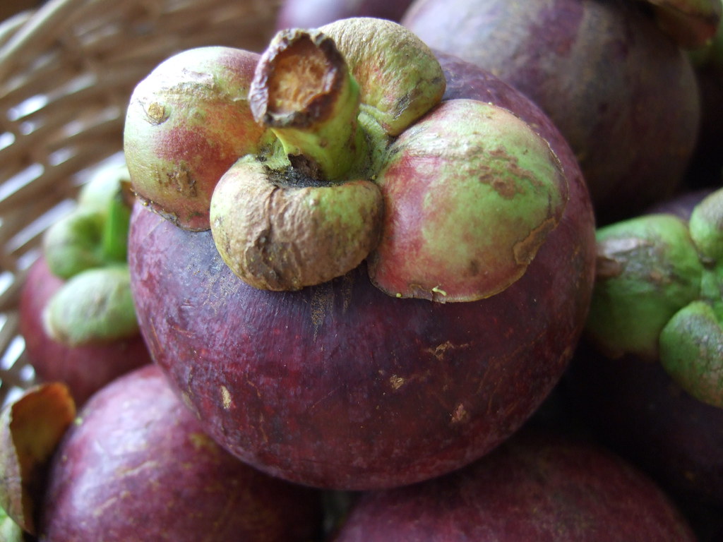 Mangosteen