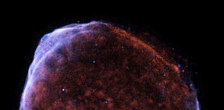 SN 1006