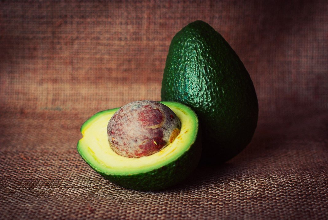 avocado1