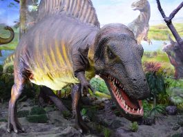 Embrioni de dinozauri descoperiți în China