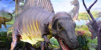 Embrioni de dinozauri descoperiți în China