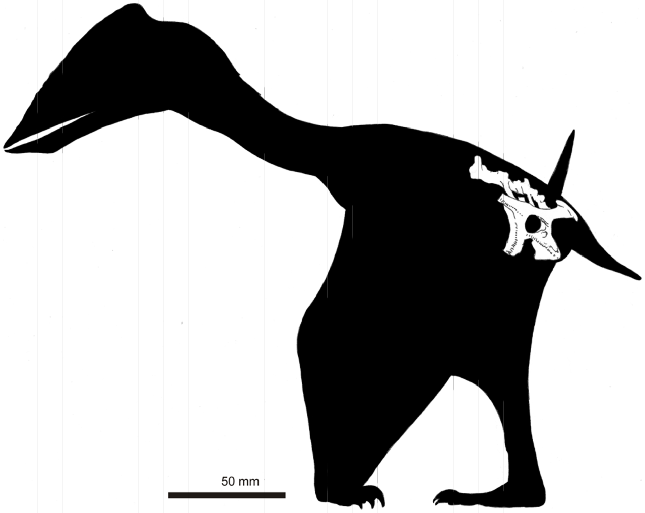 Dinozaurul Vectidraco daisymorrisae, descoperit de o fetiță de 5 ani