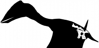 Dinozaurul Vectidraco daisymorrisae, descoperit de o fetiță de 5 ani