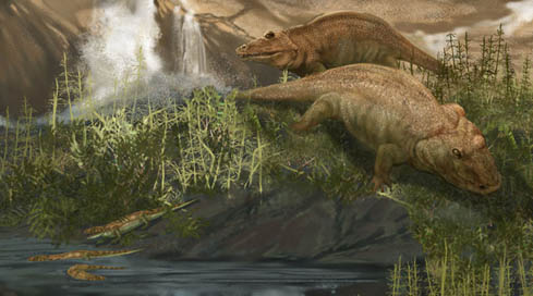Specia Eryops, Foto: dinooftheweek.blogspot.com