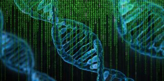 Genetica – stiinta despre functionarea ereditatii Genetica