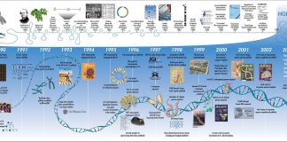 Genomul uman – noi descoperiri Genomul uman