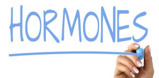 Hormonii si rolul lor in functionarea organismului uman Hormoni