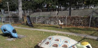 Iepurele si testoasa