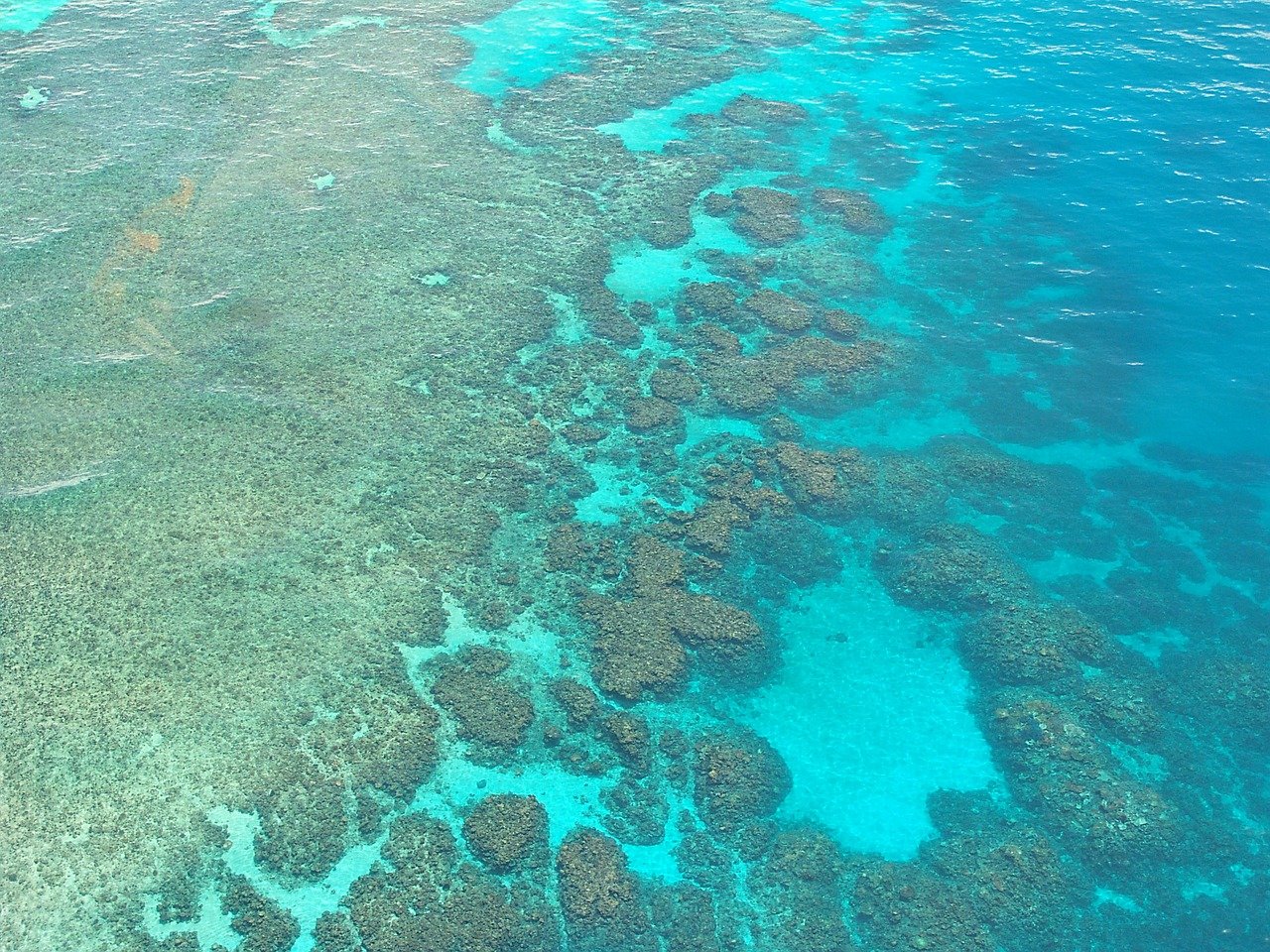 Marea Barieră de Corali, un paradis al Planetei