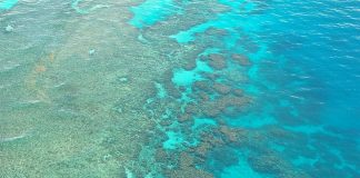 Marea Barieră de Corali, un paradis al Planetei